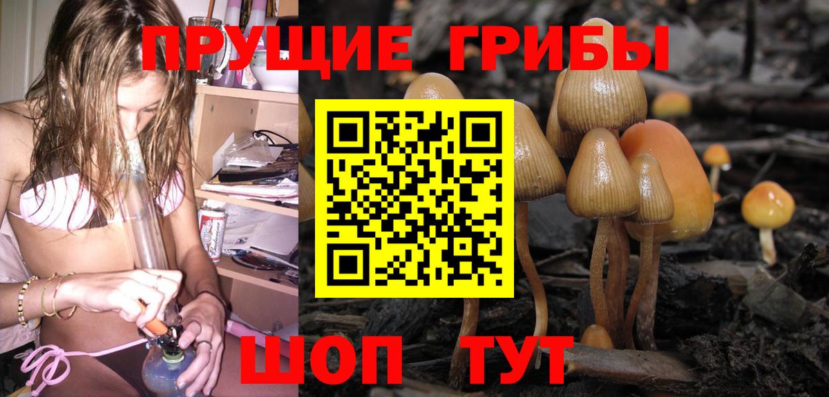 Галлюциногенные грибы мухоморы Бугуруслан