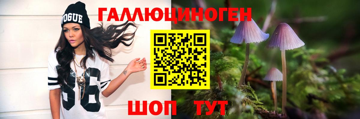 Бугуруслан  Псилоцибиновые грибы Psilocybe  Вход с VPN 