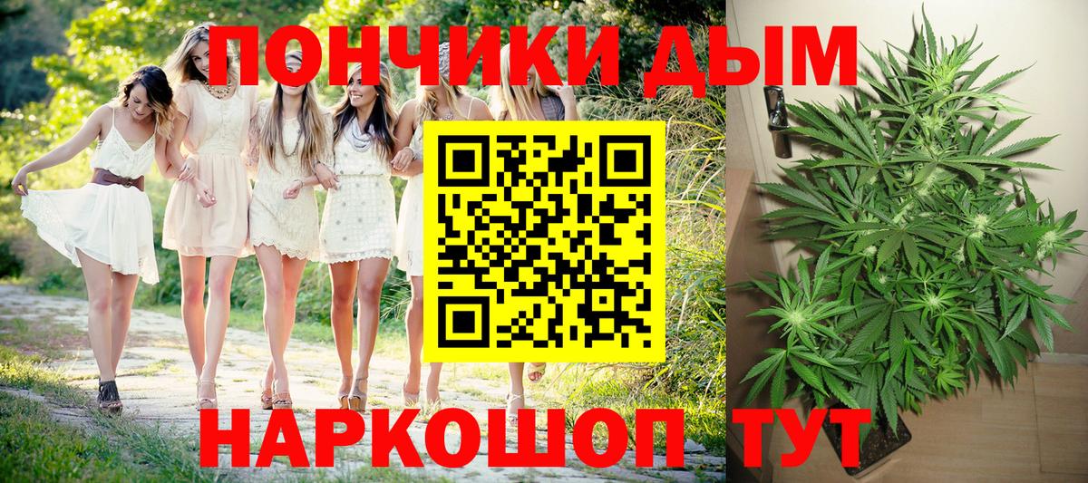 Каннабис индика  Бошки марихуана сатива  МАРИХУАНА планчик  Бошки Шишки план  Бугуруслан  Вход с VPN 